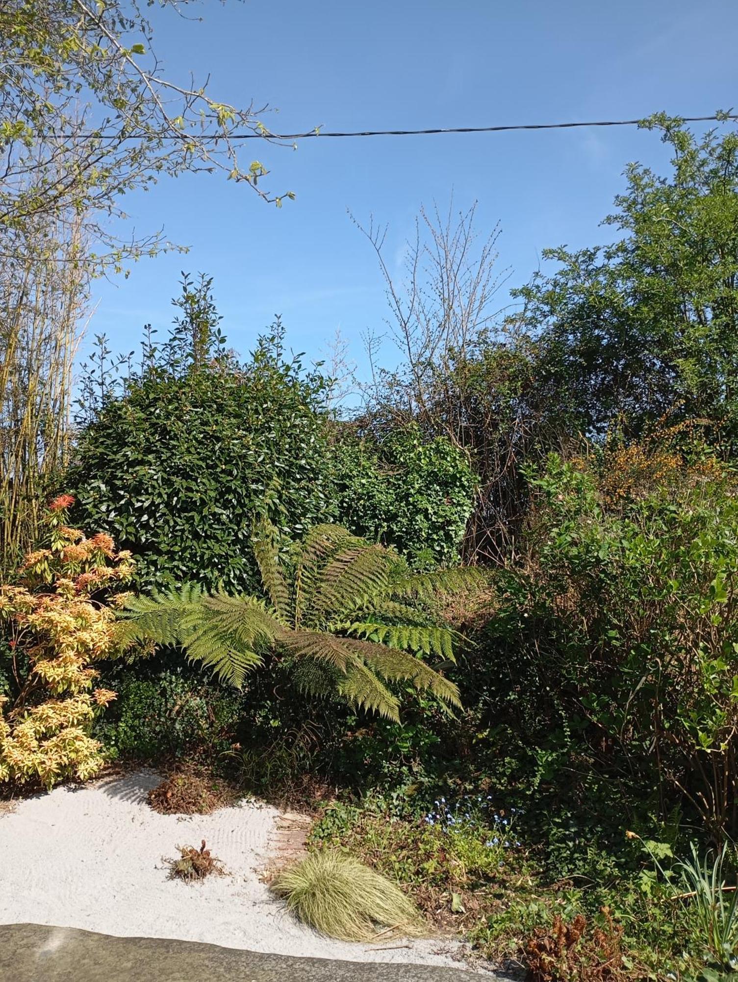 La Chartrie Villa Sartilly-Baie-Bocage Kültér fotó